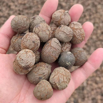 Гидропоника LECA производит легкие коричневые шарики для садоводства