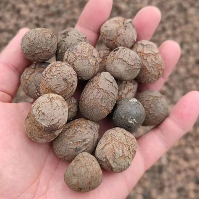 LECA для садоводства и садоводства плотность 250-450 кг/м3 Гидропоника LECA шарики